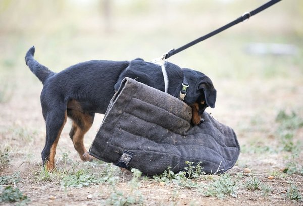 What techniques can be used to enhance the security of a WordPress site?