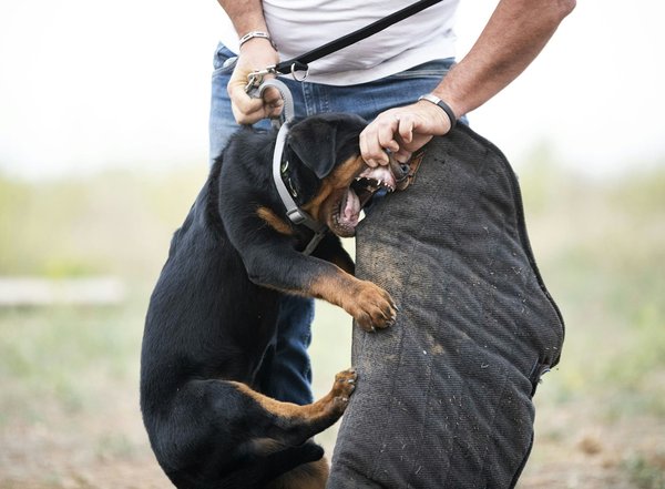 What strategies can enhance mobile payment security for UK's gig economy workers?