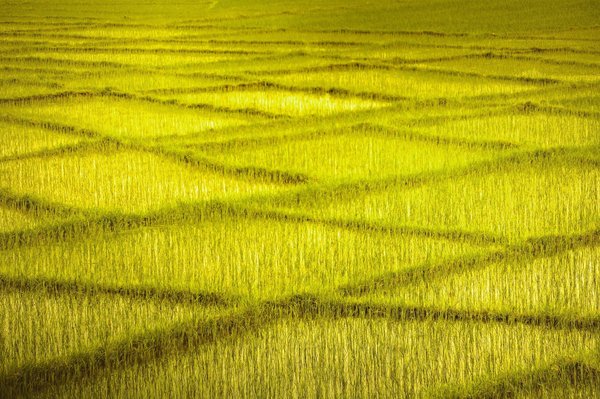 Elevate your gameplay with satisfactory server hosting solutions